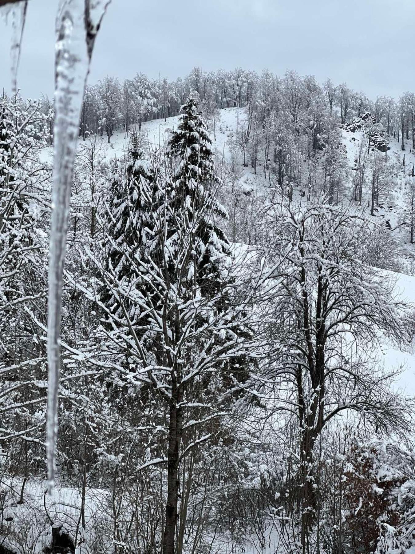 Kolasin Jabuka Bagian luar foto