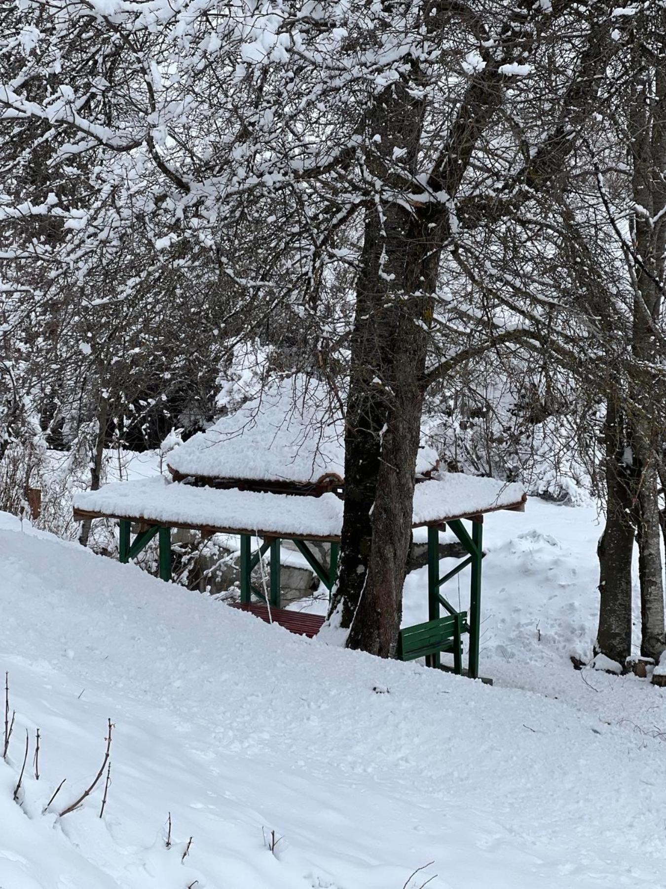 Kolasin Jabuka Bagian luar foto