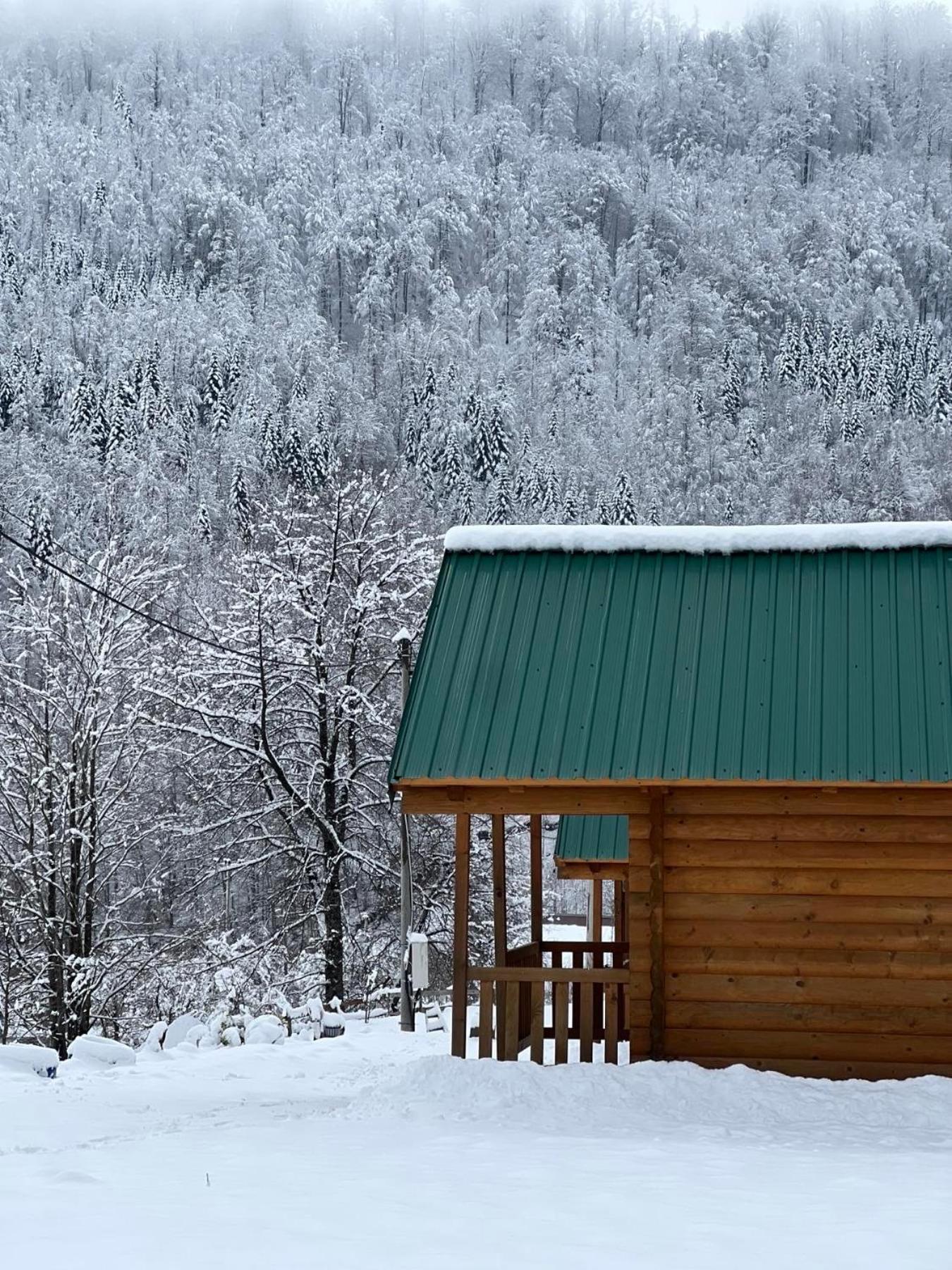 Kolasin Jabuka Bagian luar foto