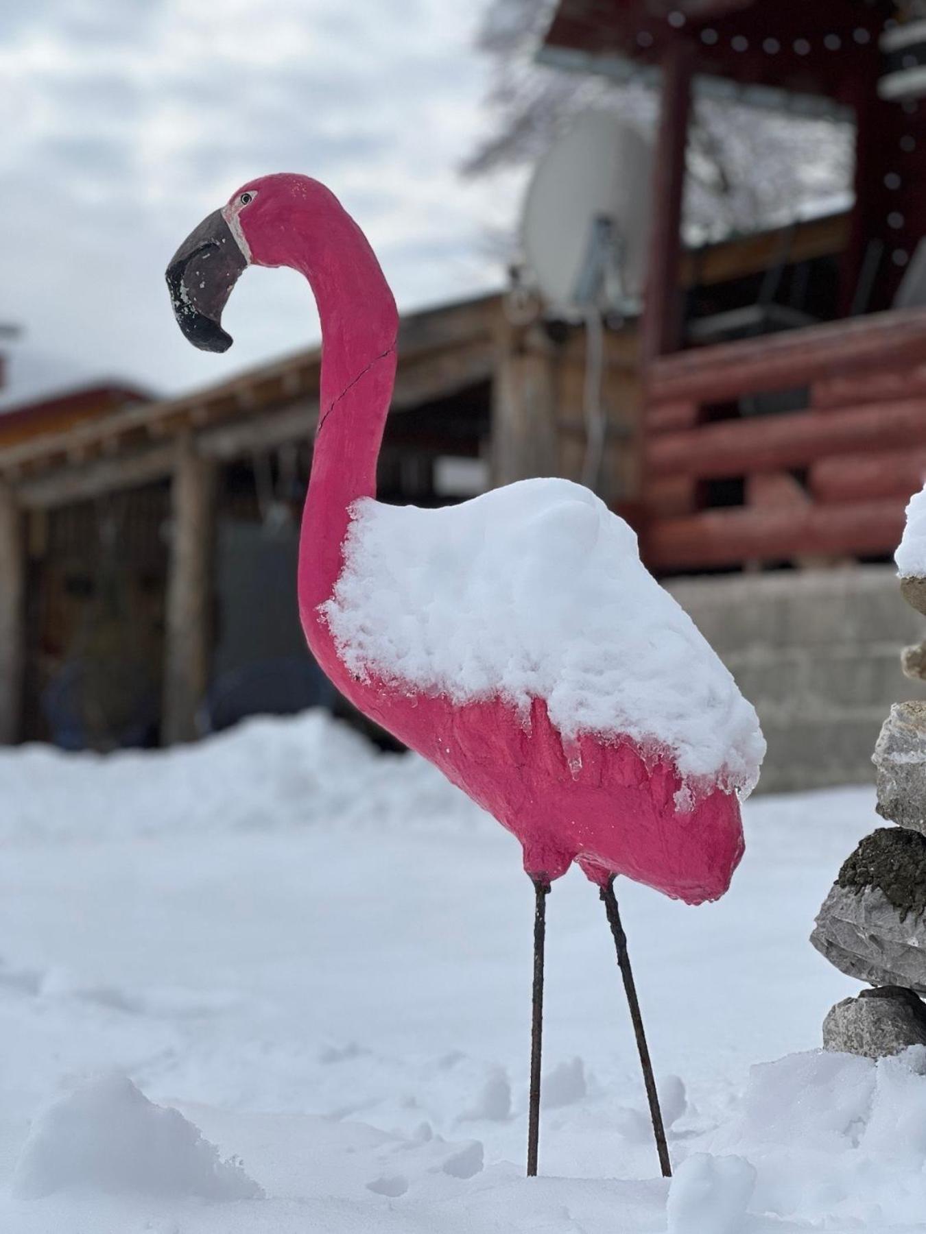 Kolasin Jabuka Bagian luar foto